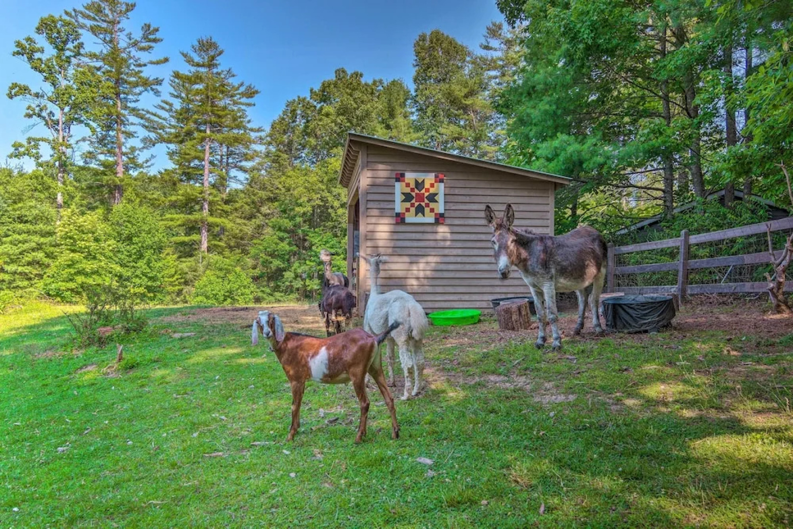 Rustic & Authentic Farm Stay by Dupont Forest!