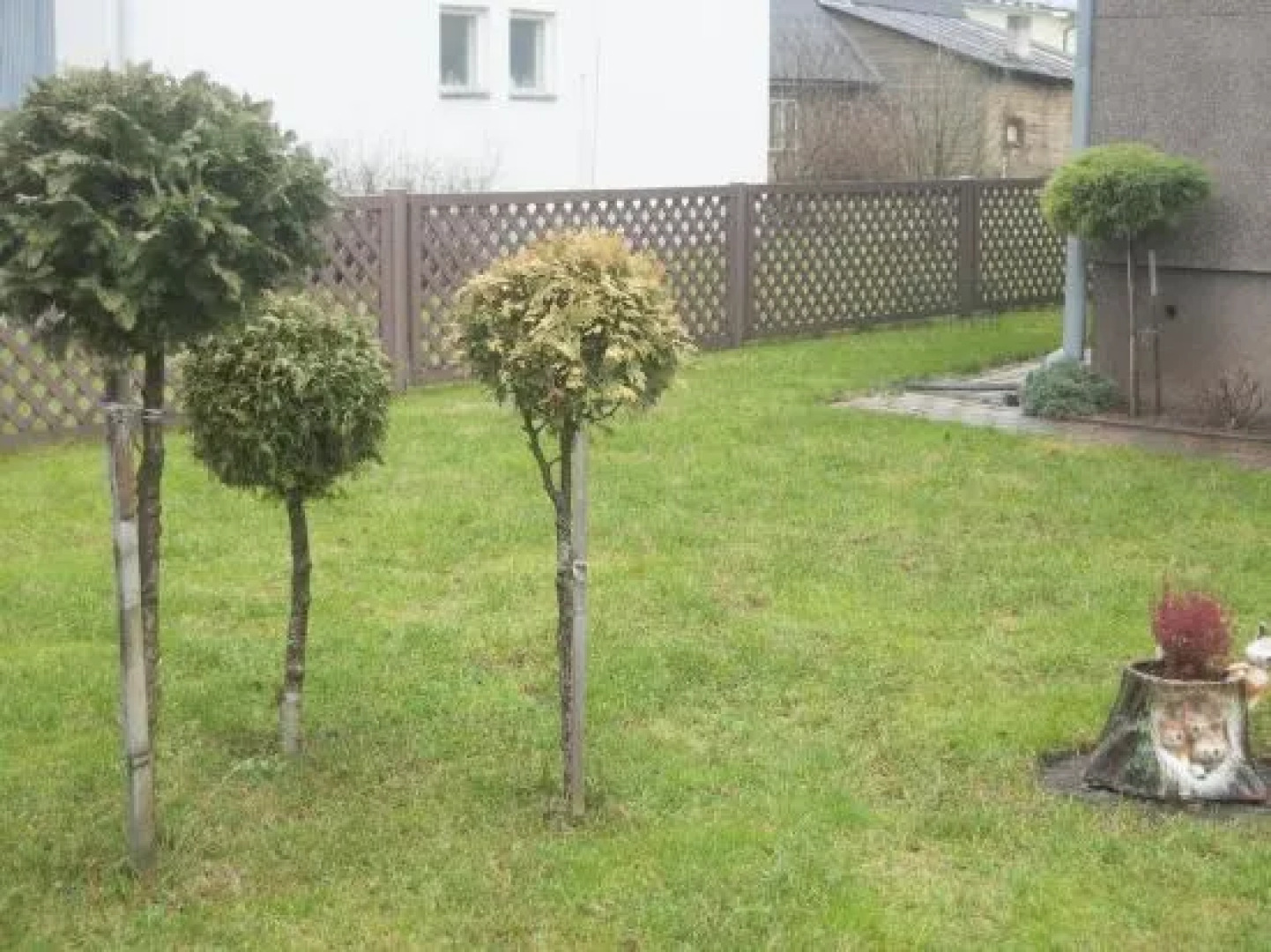 Eha Suija Home Accommodation