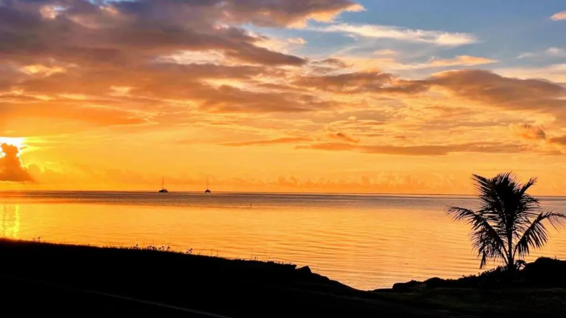 Raiatea - Nautilus Bungalow Pool