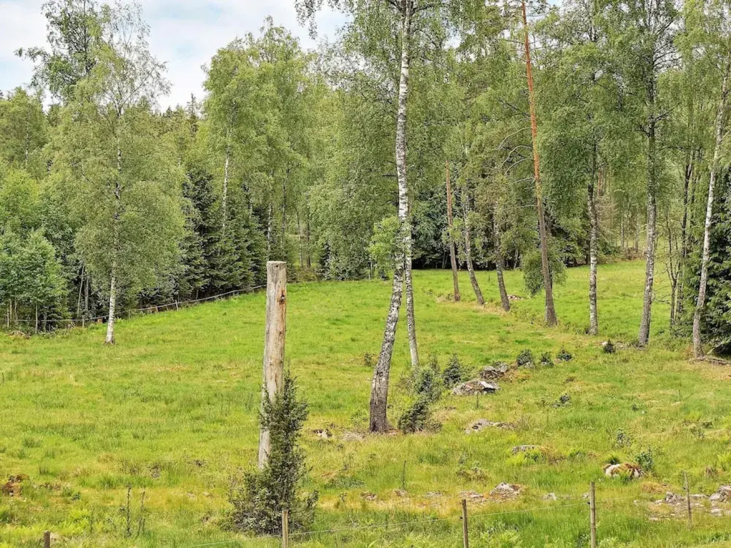 6 Person Holiday Home in Savsjo