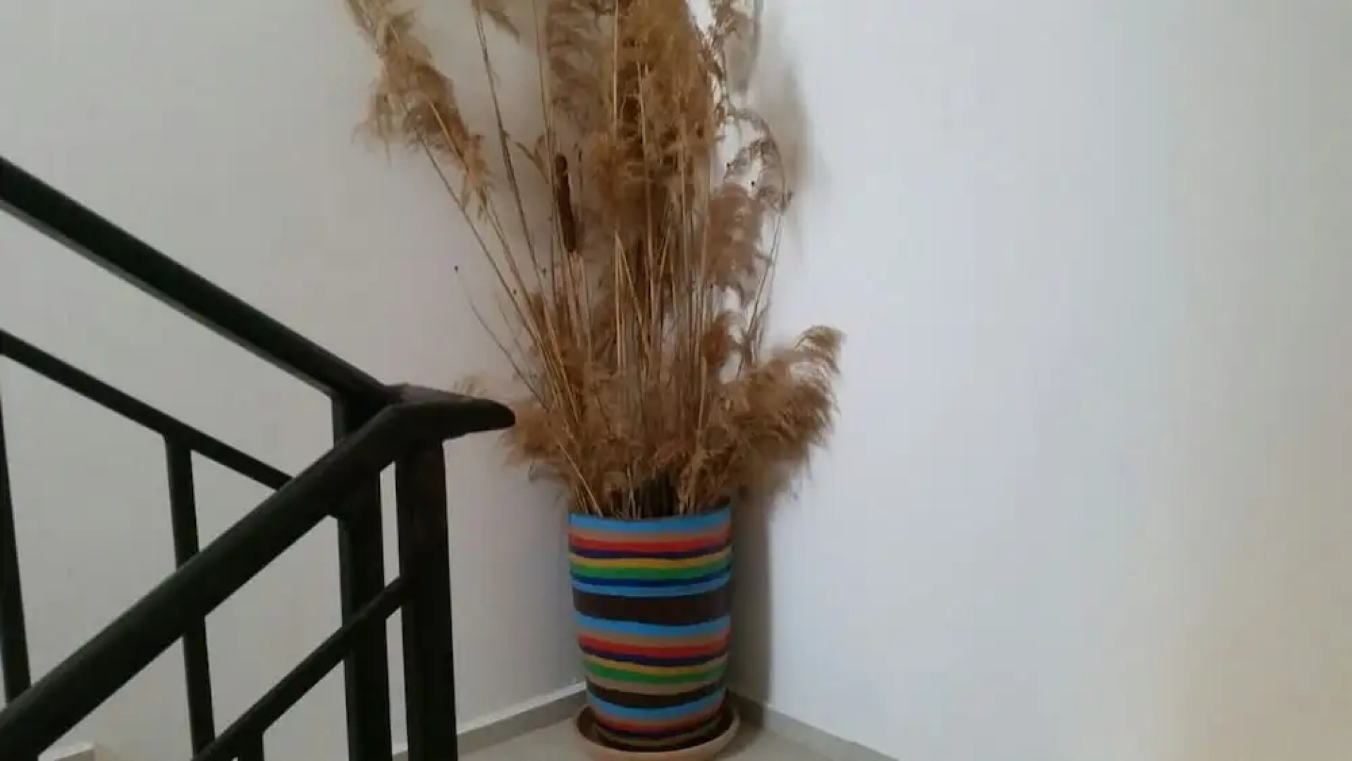 Remarkable 2-bed Apartment in Aleksandrovo