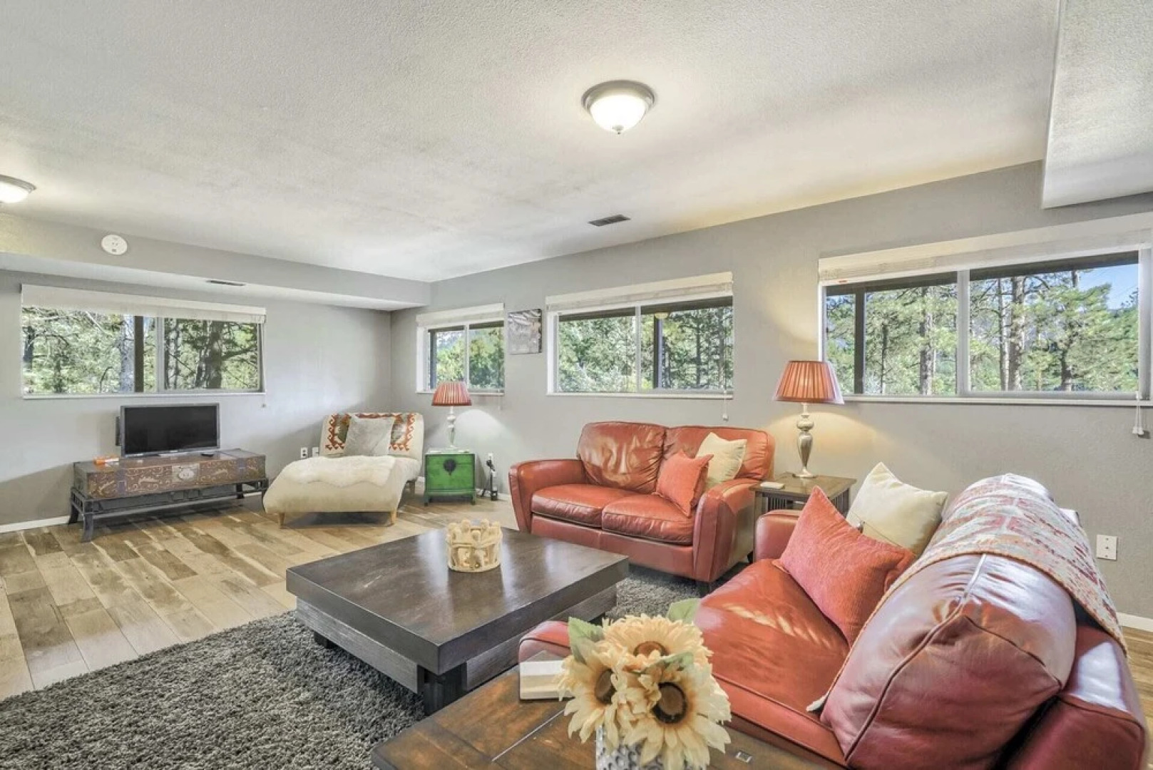 4bdmountain Getawaydog Friendlyminutes to Pikes Peak & Nature