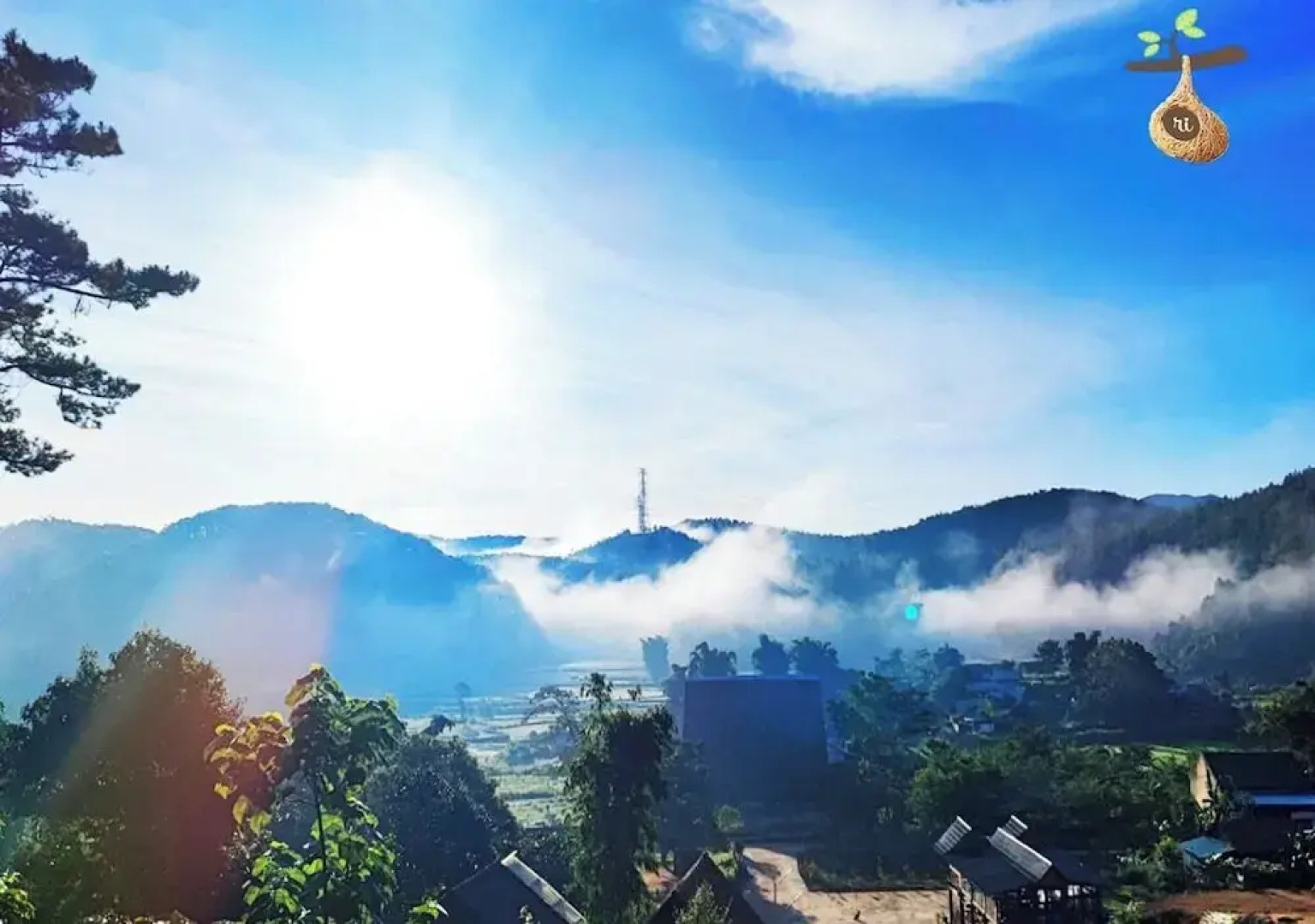 To Chim Ri Homestay Mang Đen