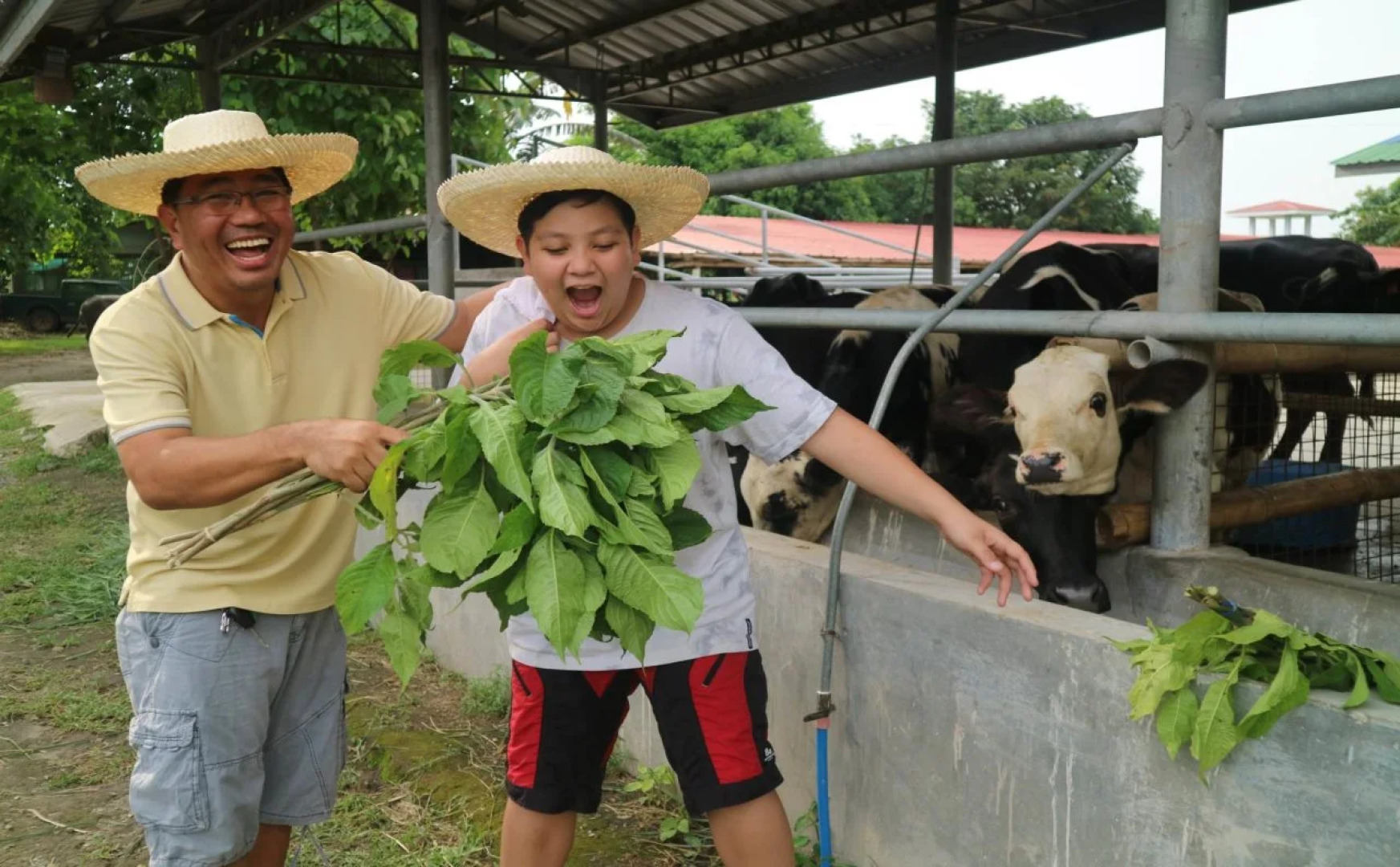Estancia De Lorenzo Tarlac