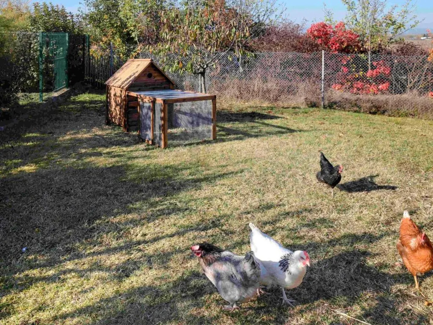 Mercure Lyon Est Chaponnay