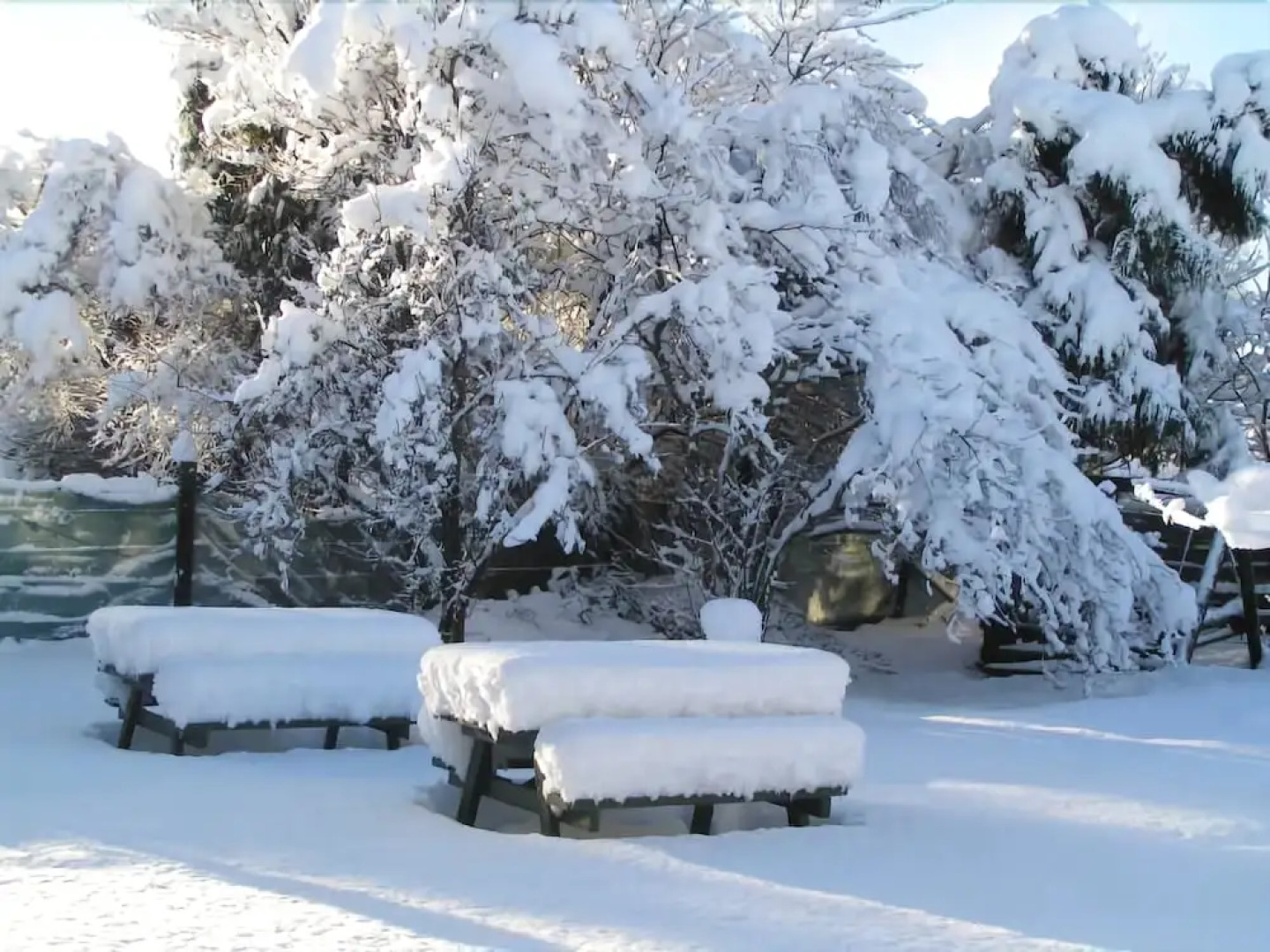 Jack in the Green Backpackers