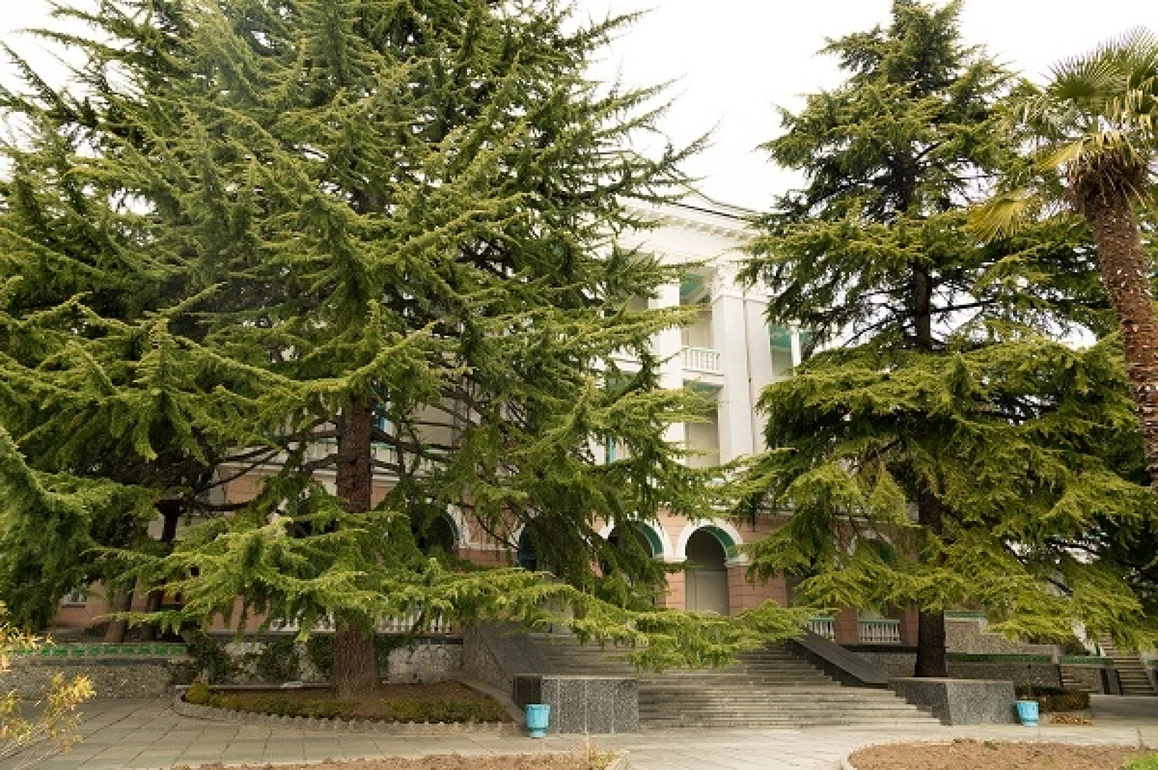 Professorskiy Ugolok Sanatorium