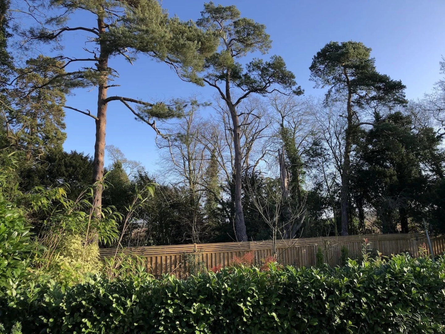 Manor Lodge, Walberswick