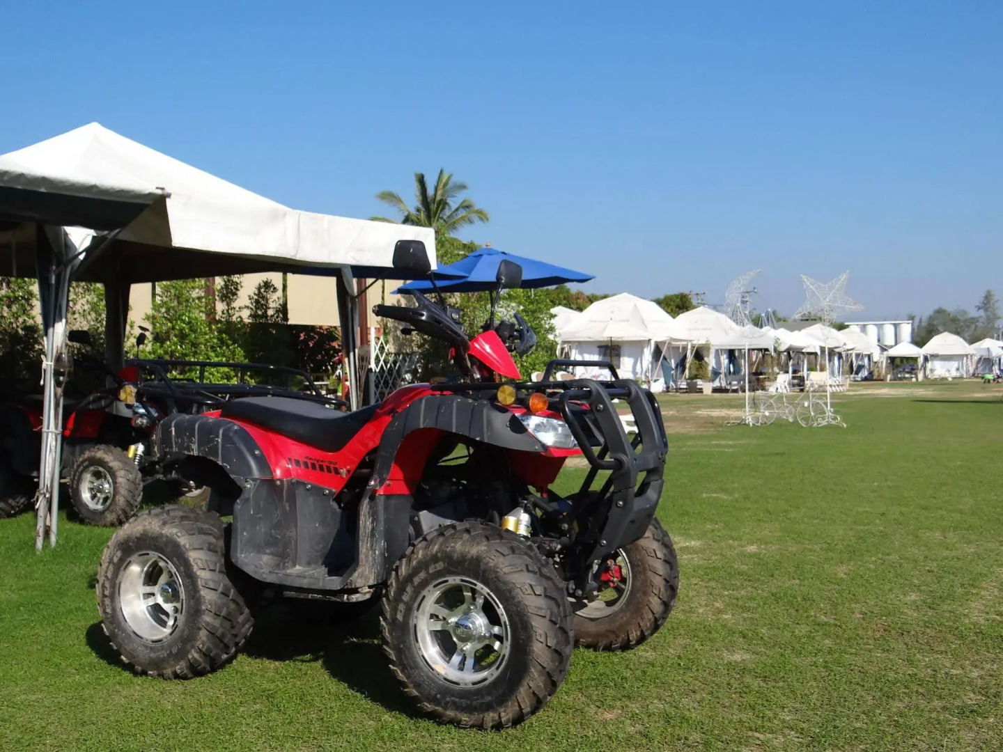 The Camping Field
