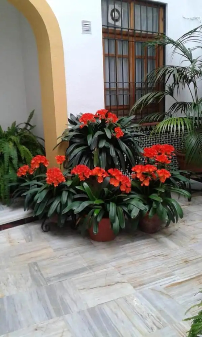 Apartment With one Bedroom in Córdoba, With Wifi