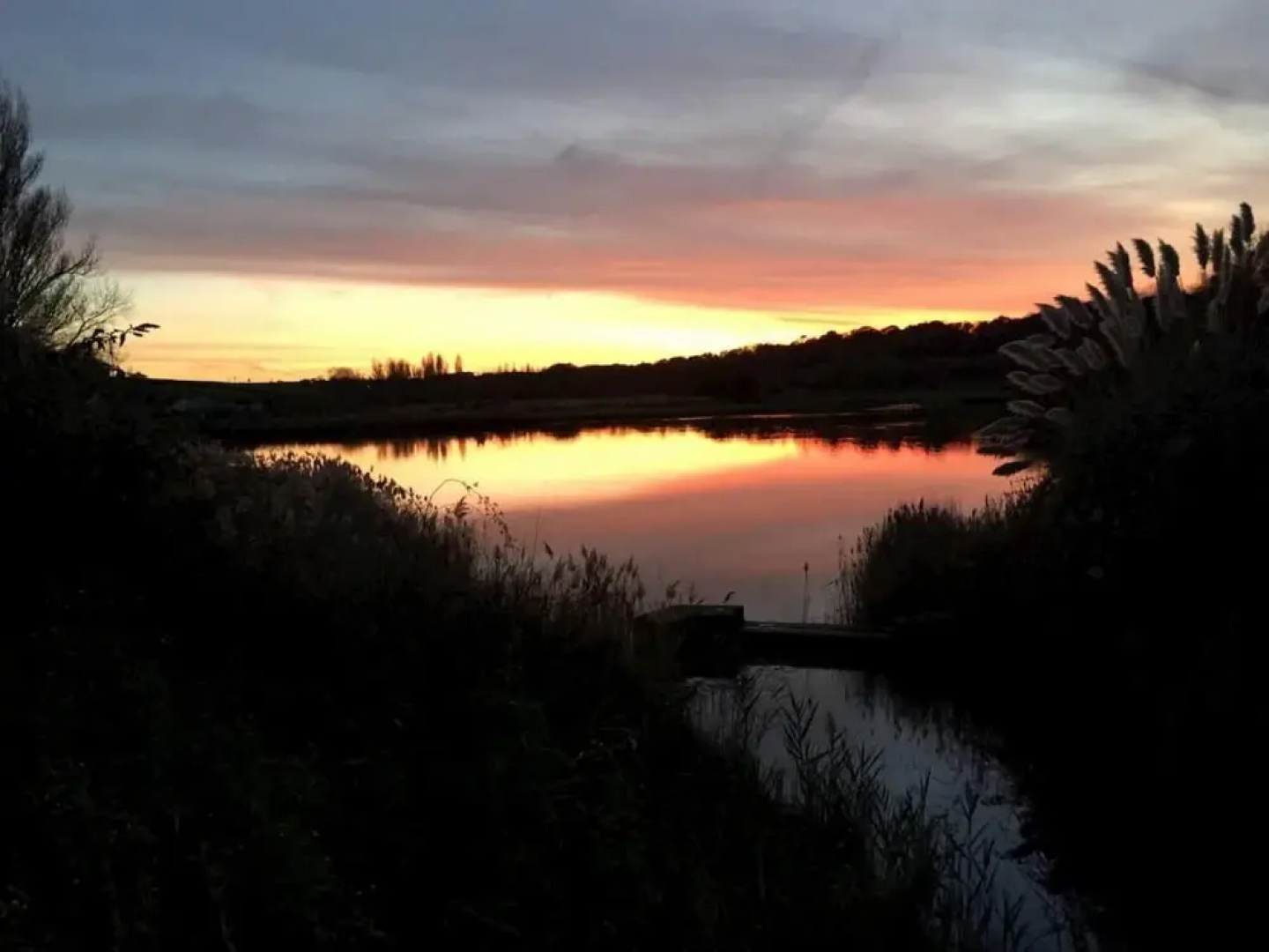 Seashells Dog Friendly Seaview Beach Chalet Sleeps 4 Beach Opposite