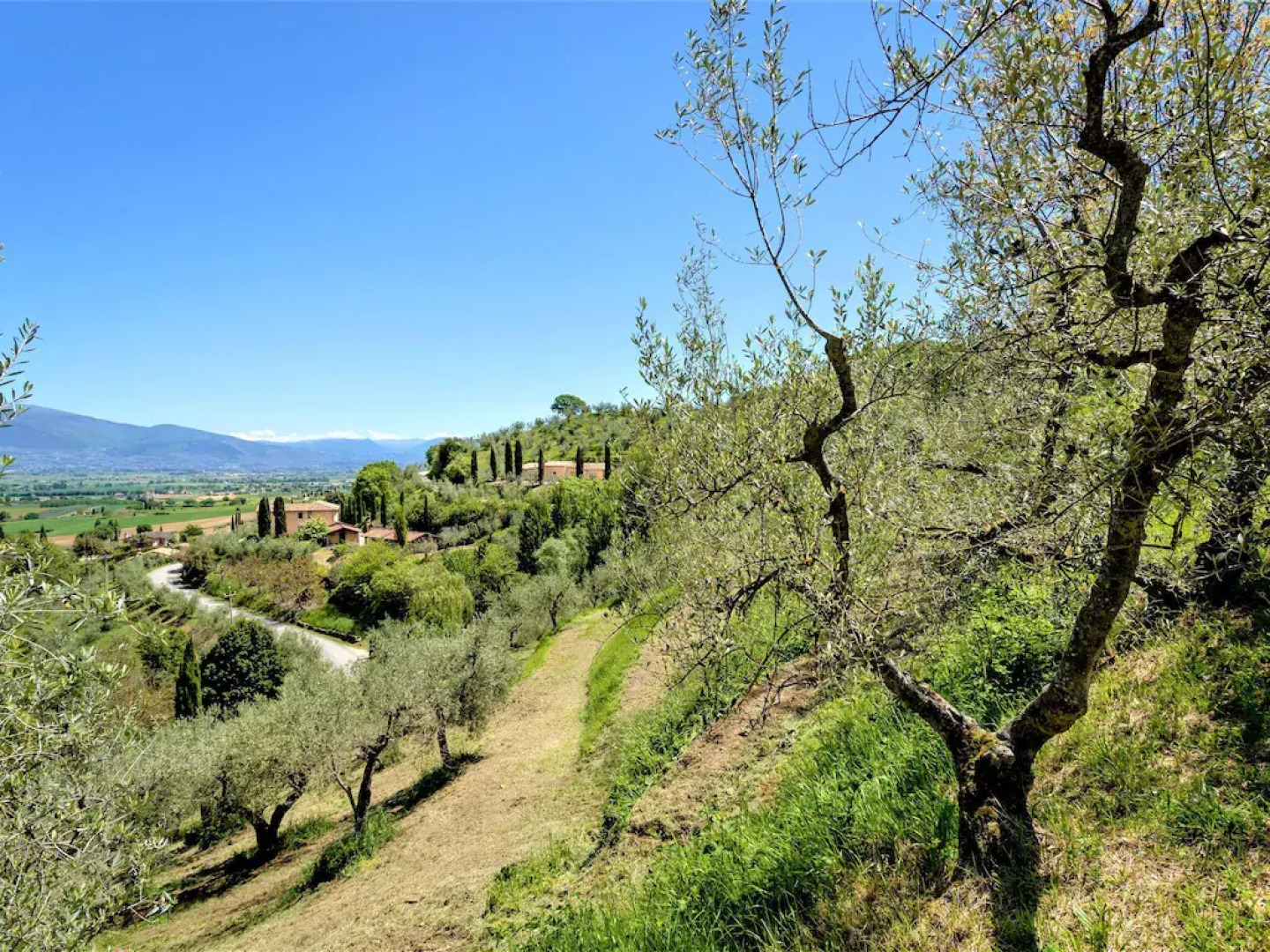 Alluring apartment in Passaggio di Bettona with pool