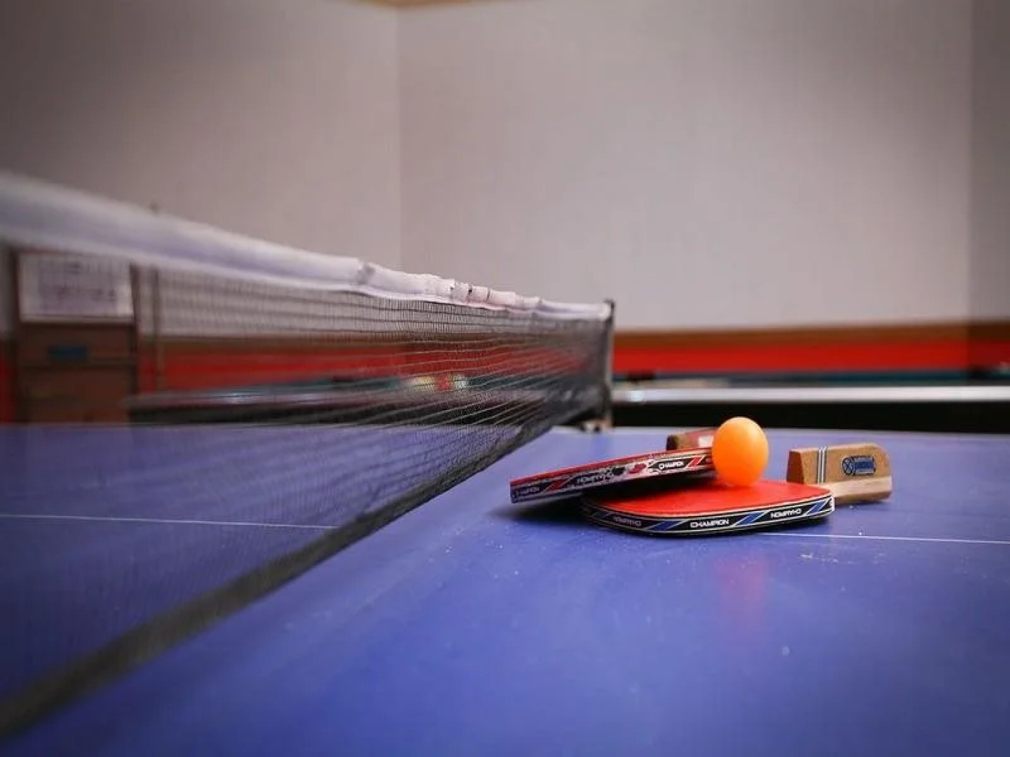 Spring Summer Fall Winter Pension