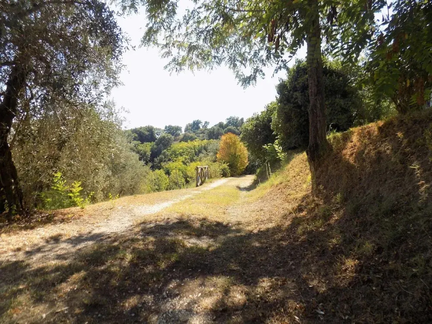 Scappo In Umbria, The Barn