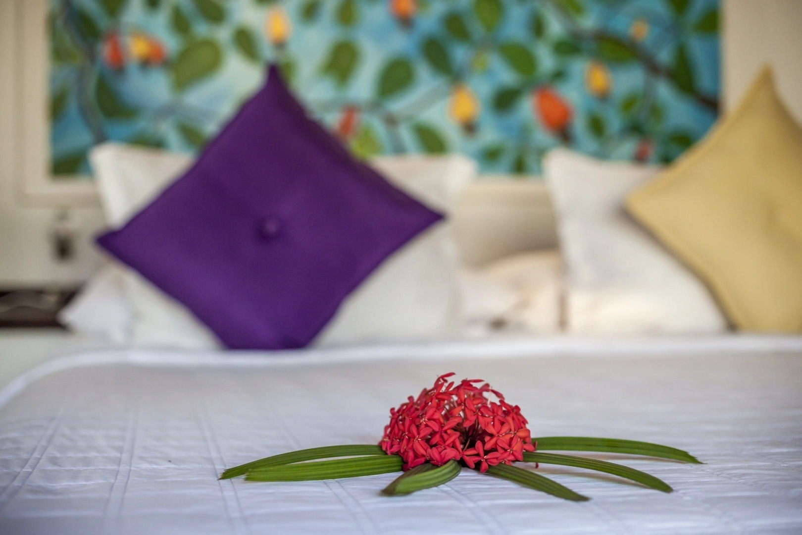 Resort Sombra e Água Fresca