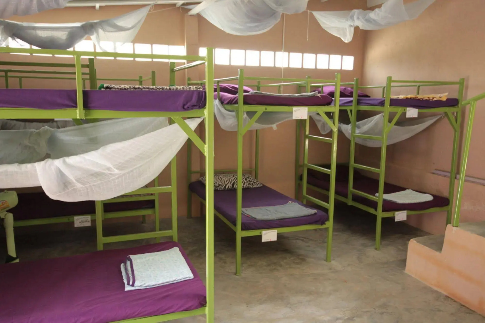 Purple Monkey Backpackers