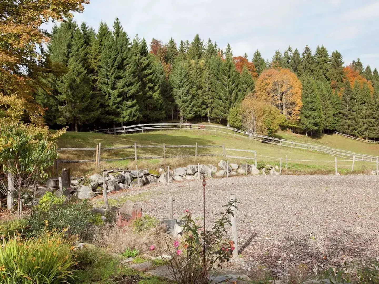 Apartment in Dachsberg-urberg