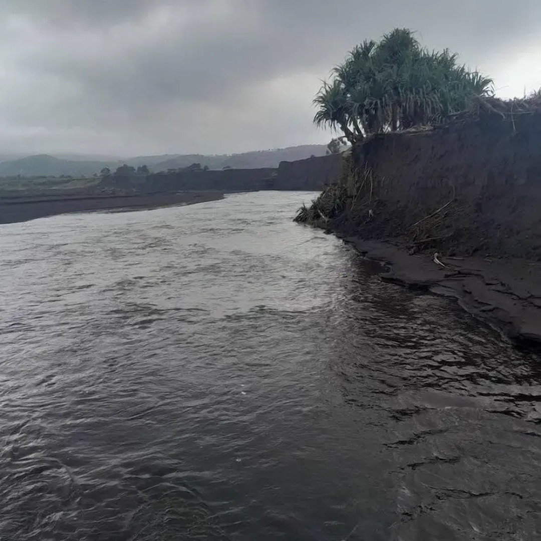 Glowing view tree house and Bangalow