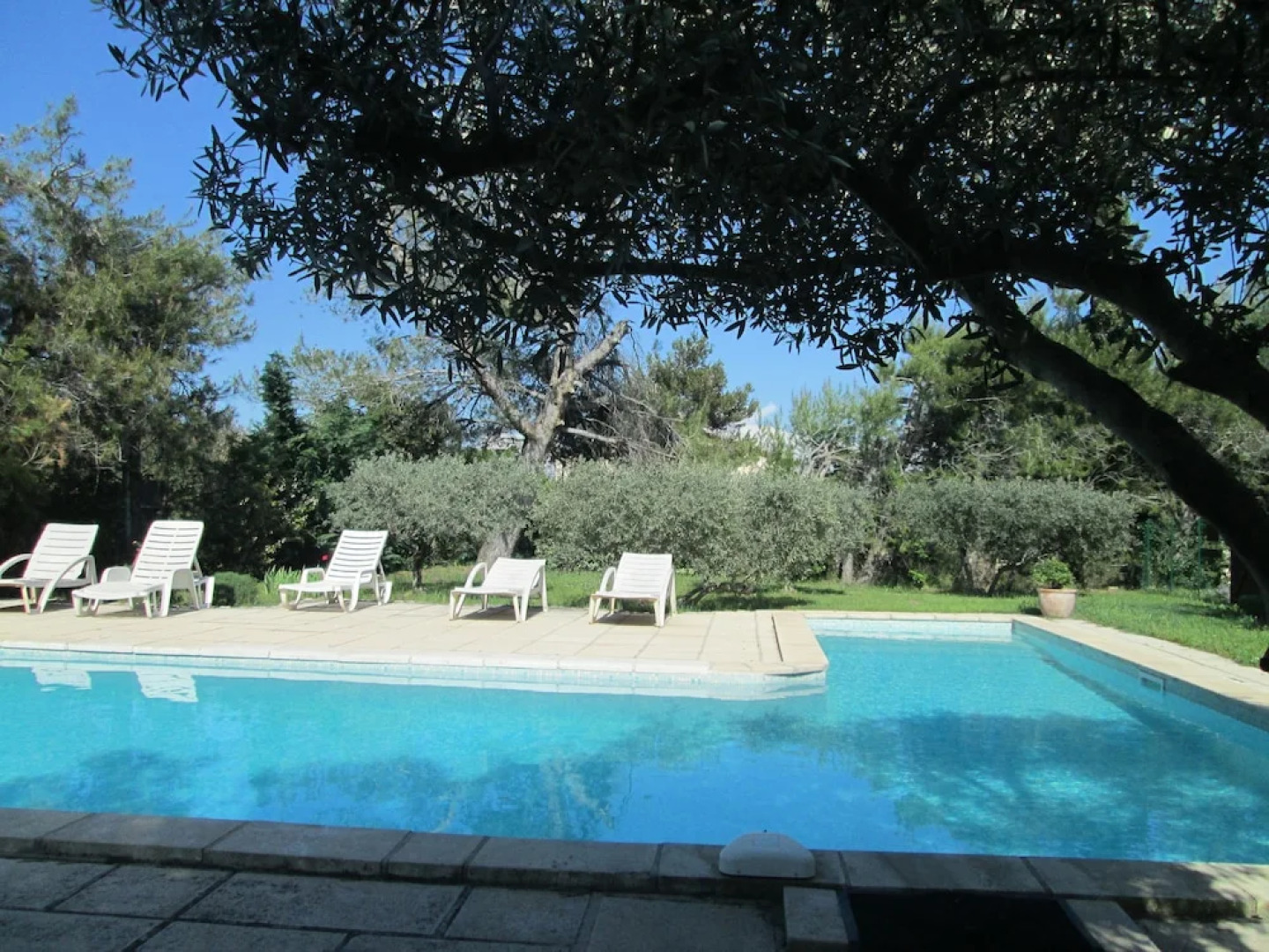 La Garrigue des Alpilles
