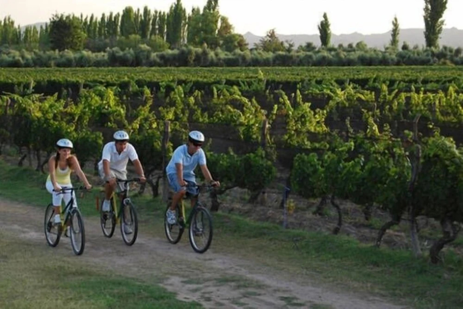 Apartamento entre viñedos