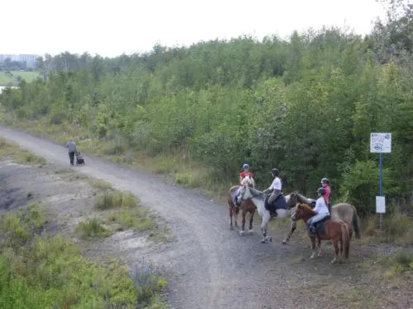 Apartamenty Pod Lasem