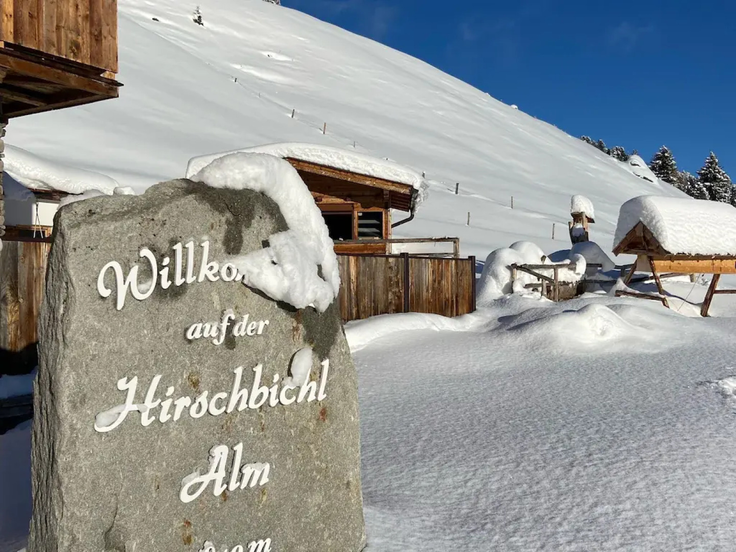 Unique Large Alpine Pasture in the Middle of the Zillertal Mountains
