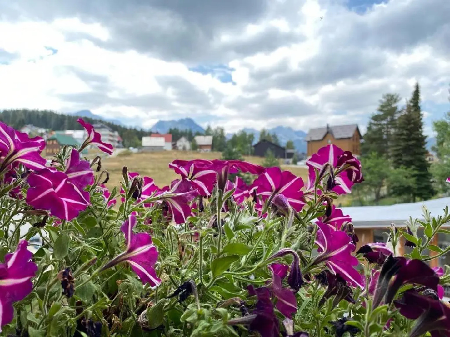 Apartment Zabljak Center