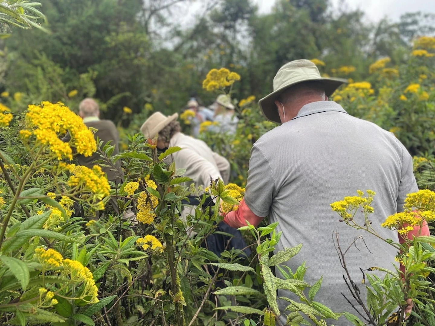 Room in B&B - Nice Rooms, Unbeatable Prices