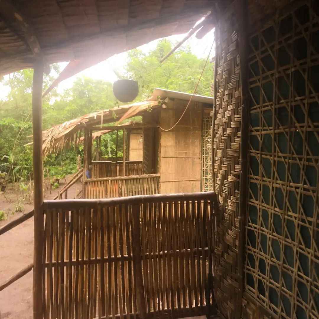 Wairiki 4