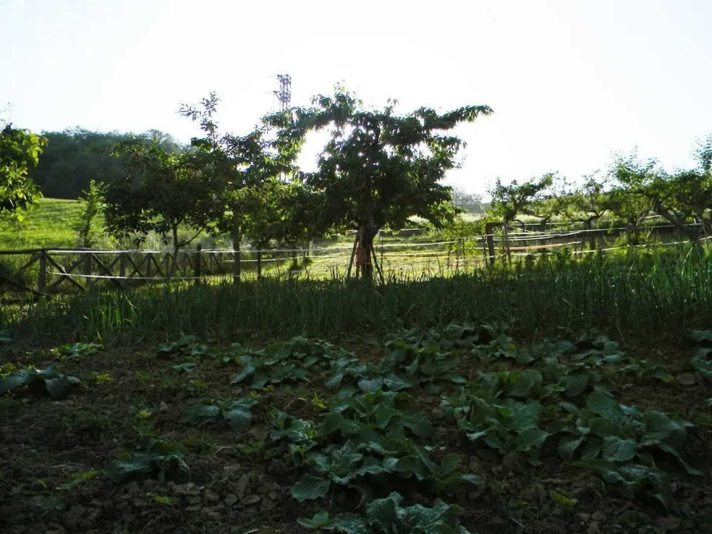 Azienda Agrituristica Colle San Giorgio