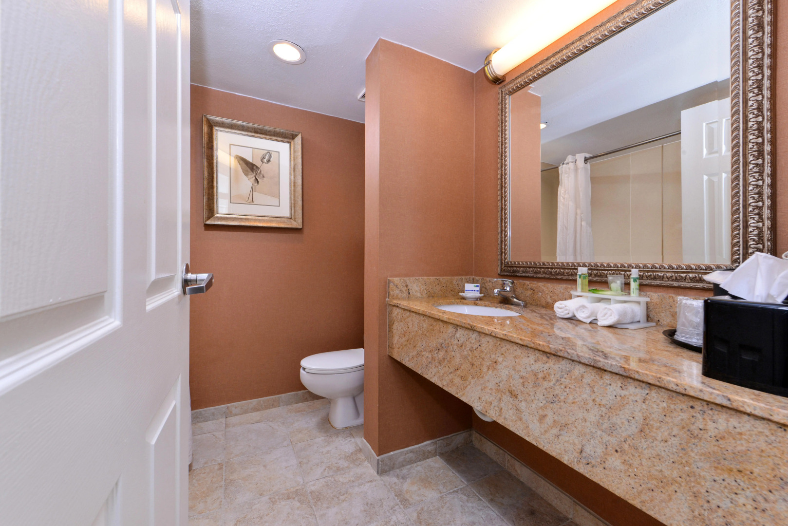 Holiday Inn Express Clearwater East - Icot Center by IHG