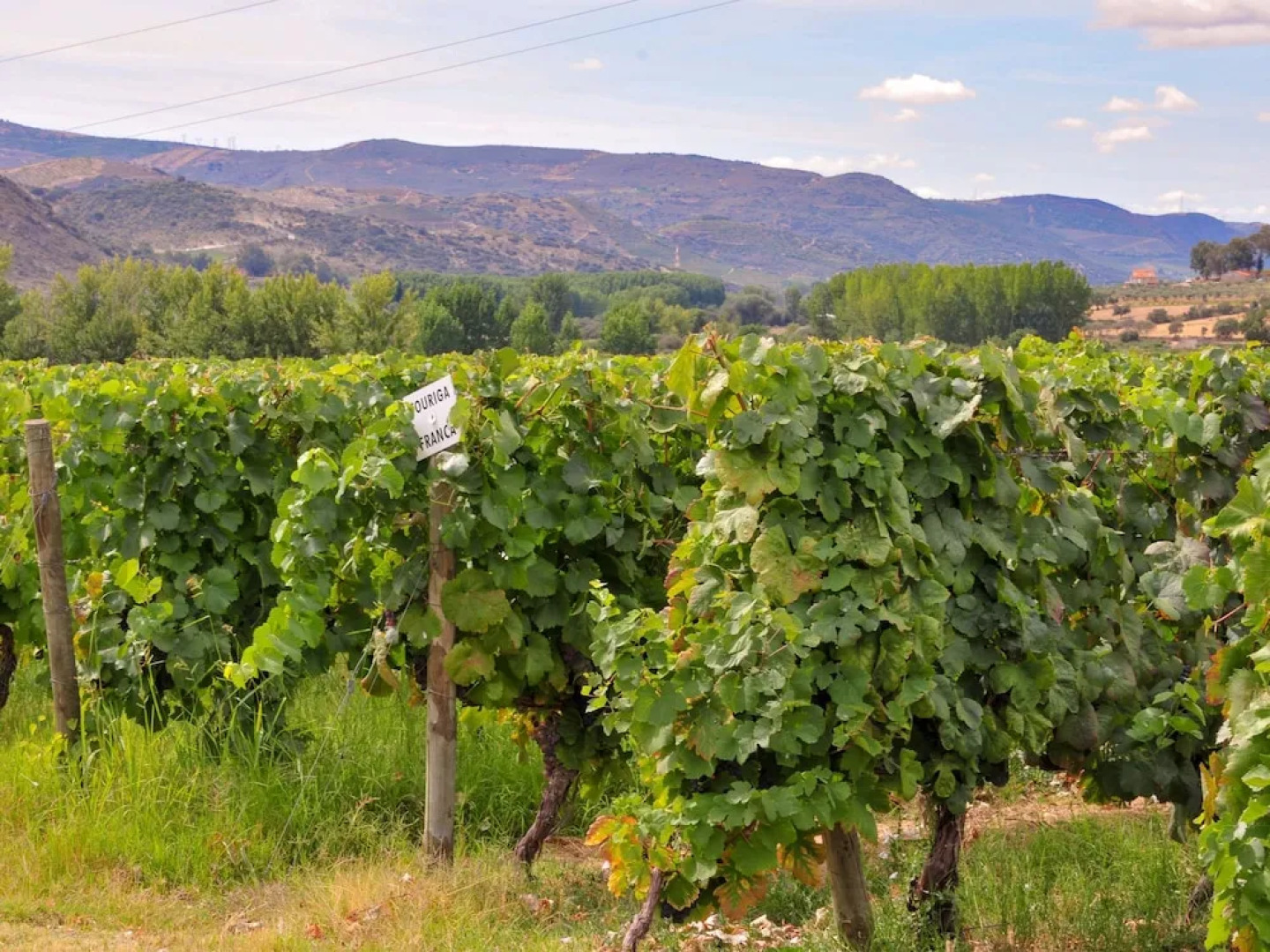 Semi-detached Holiday Home on an Estate With a Swimming Pool