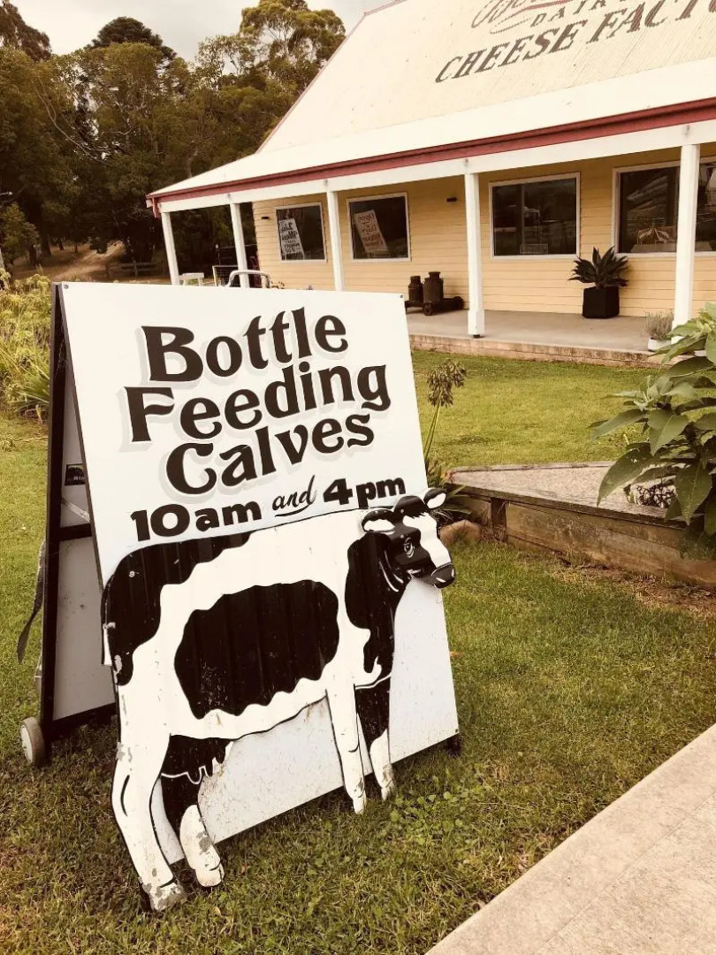 Bodalla Dairy Shed Guest Rooms