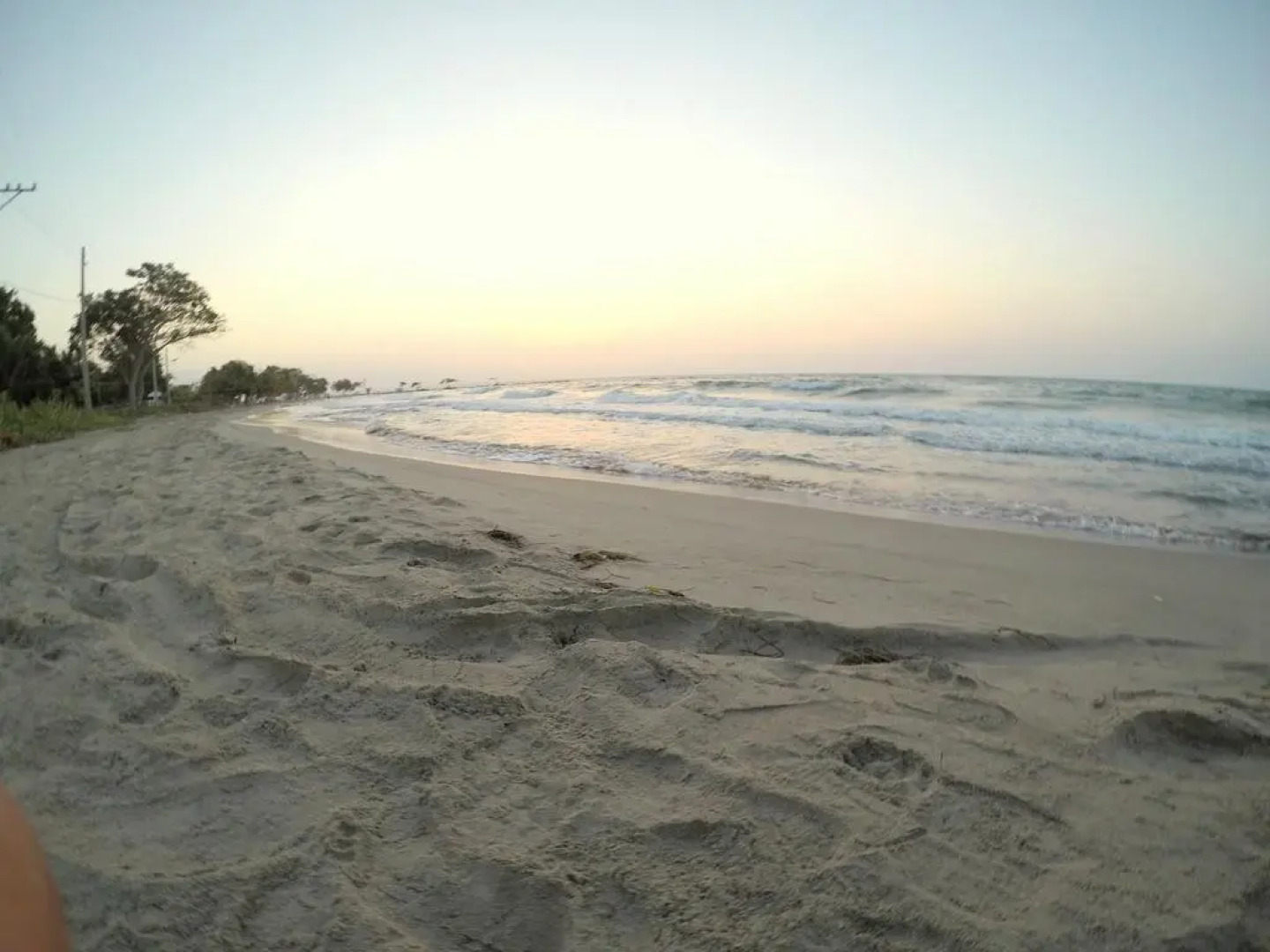 Camino Palmero Coveñas