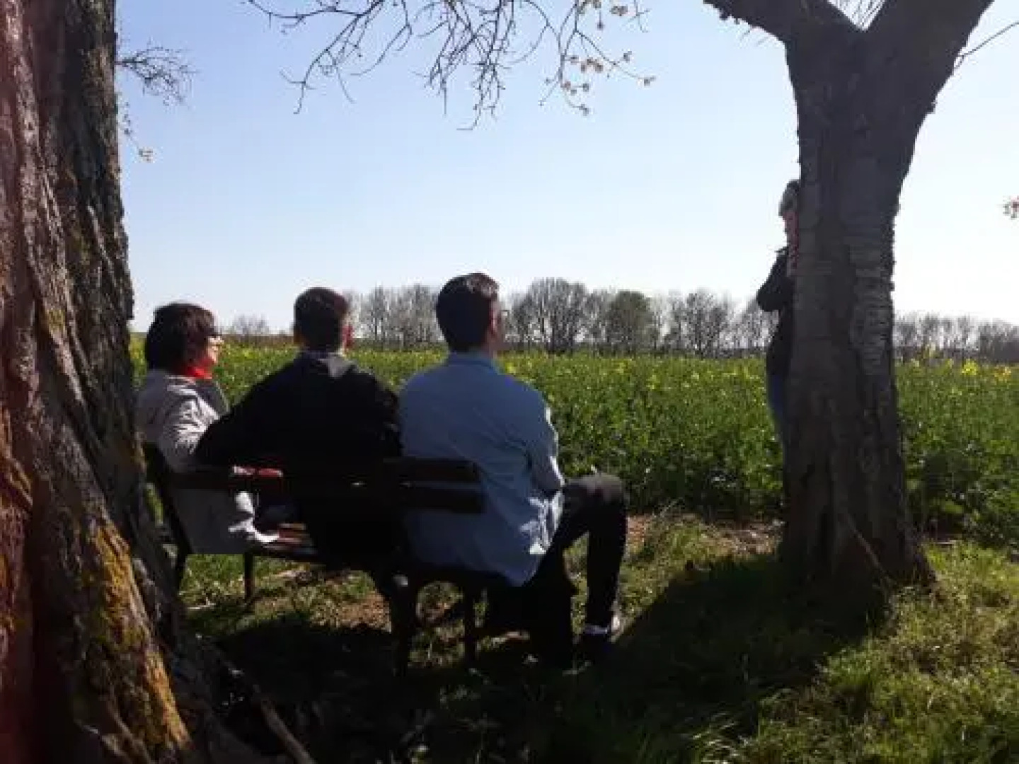 Balancehaus Kohren Sahlis dein Kurhaus in Sachsen