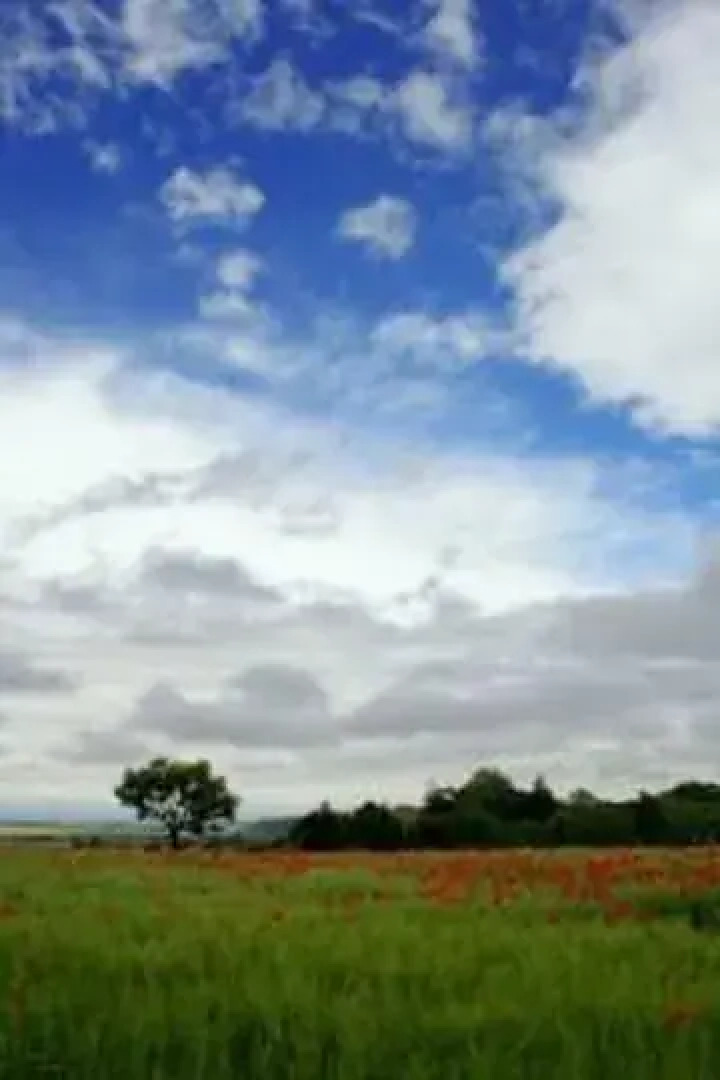 Il Richiamo Del Bosco Bed & Breakfast