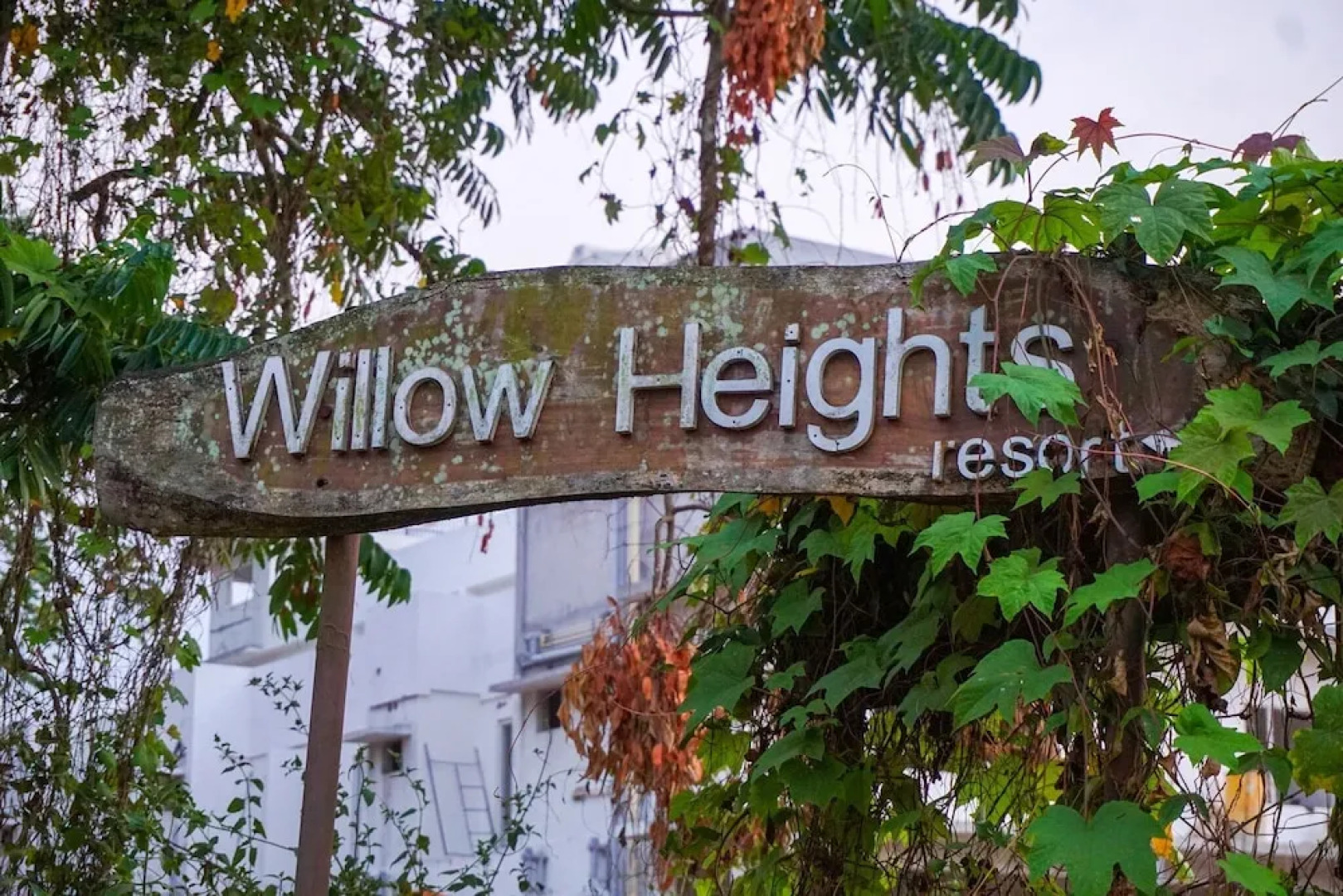 Willow Heights Athirappally