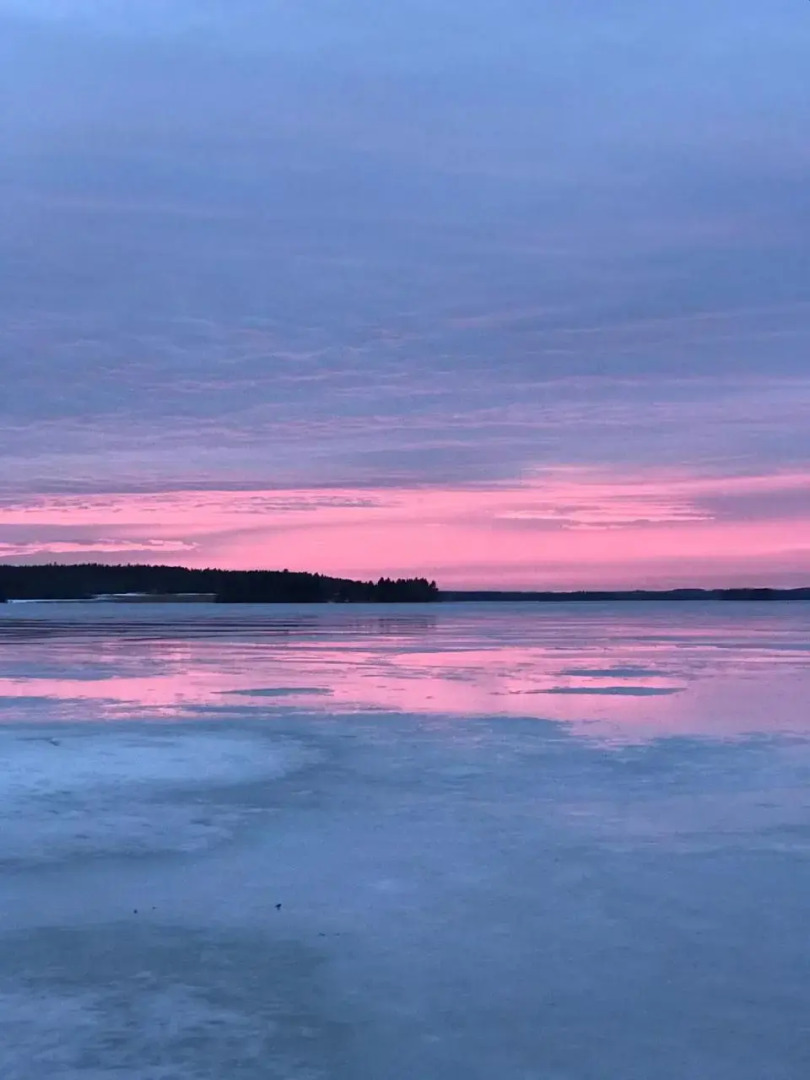 Guest House Haapaniemen Hirsikartano