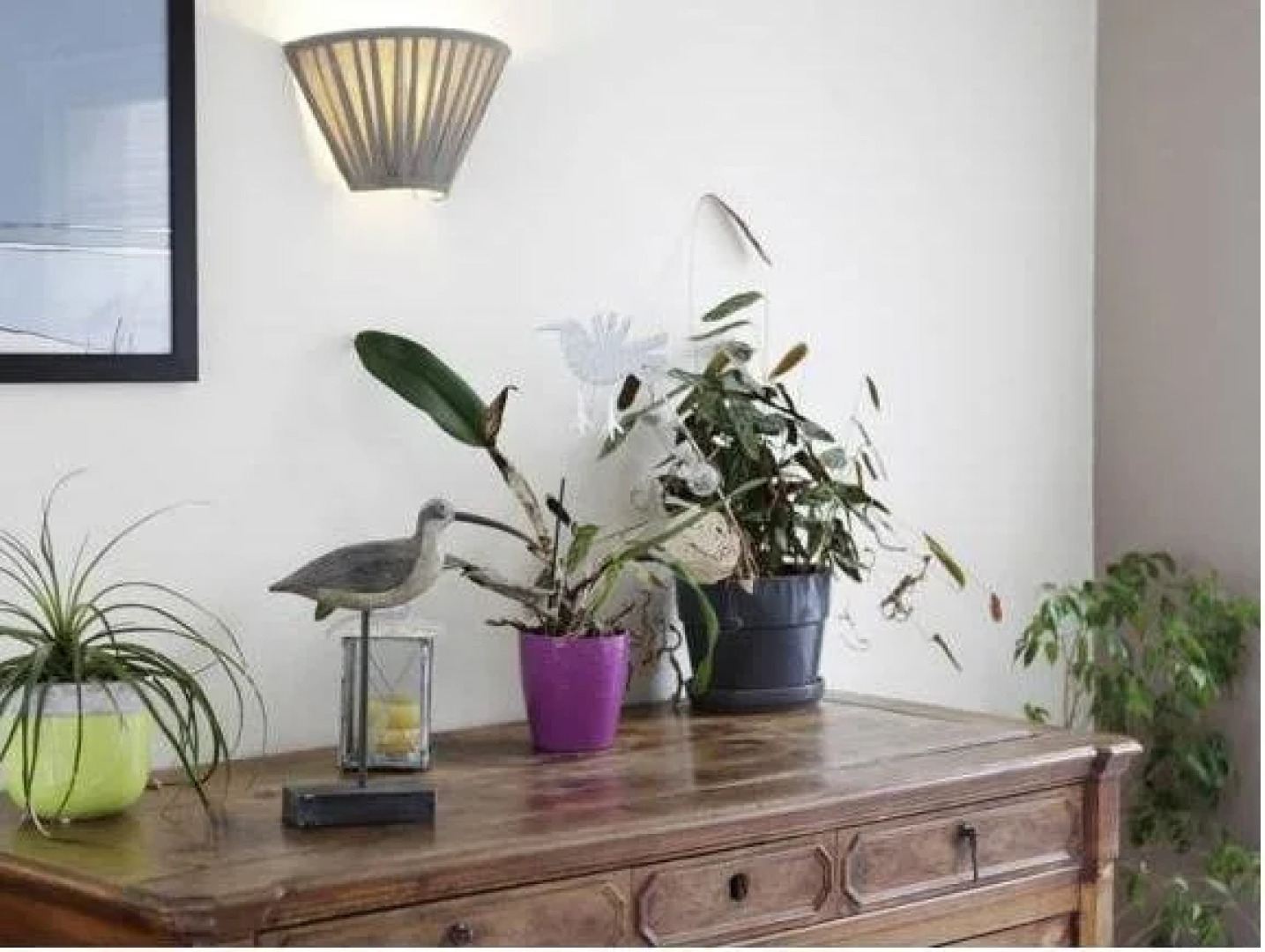 Hôtel La Voile Bleue