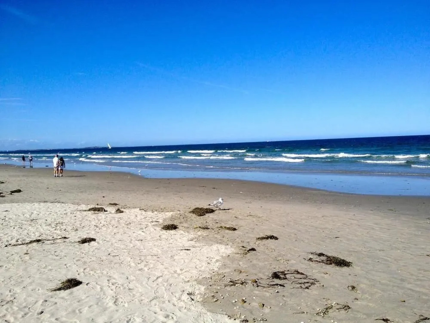 Nantasket Beach Hotel