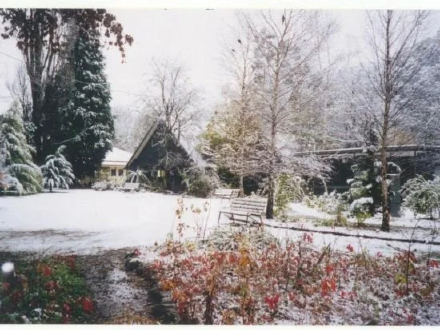 Mountain View Holiday Retreat