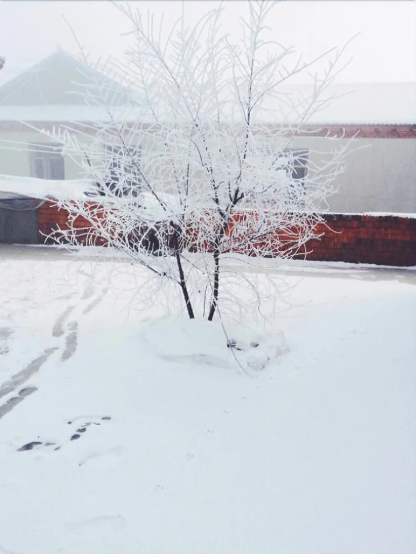 Galaha Int'l Youth Hostel JL Rime Island