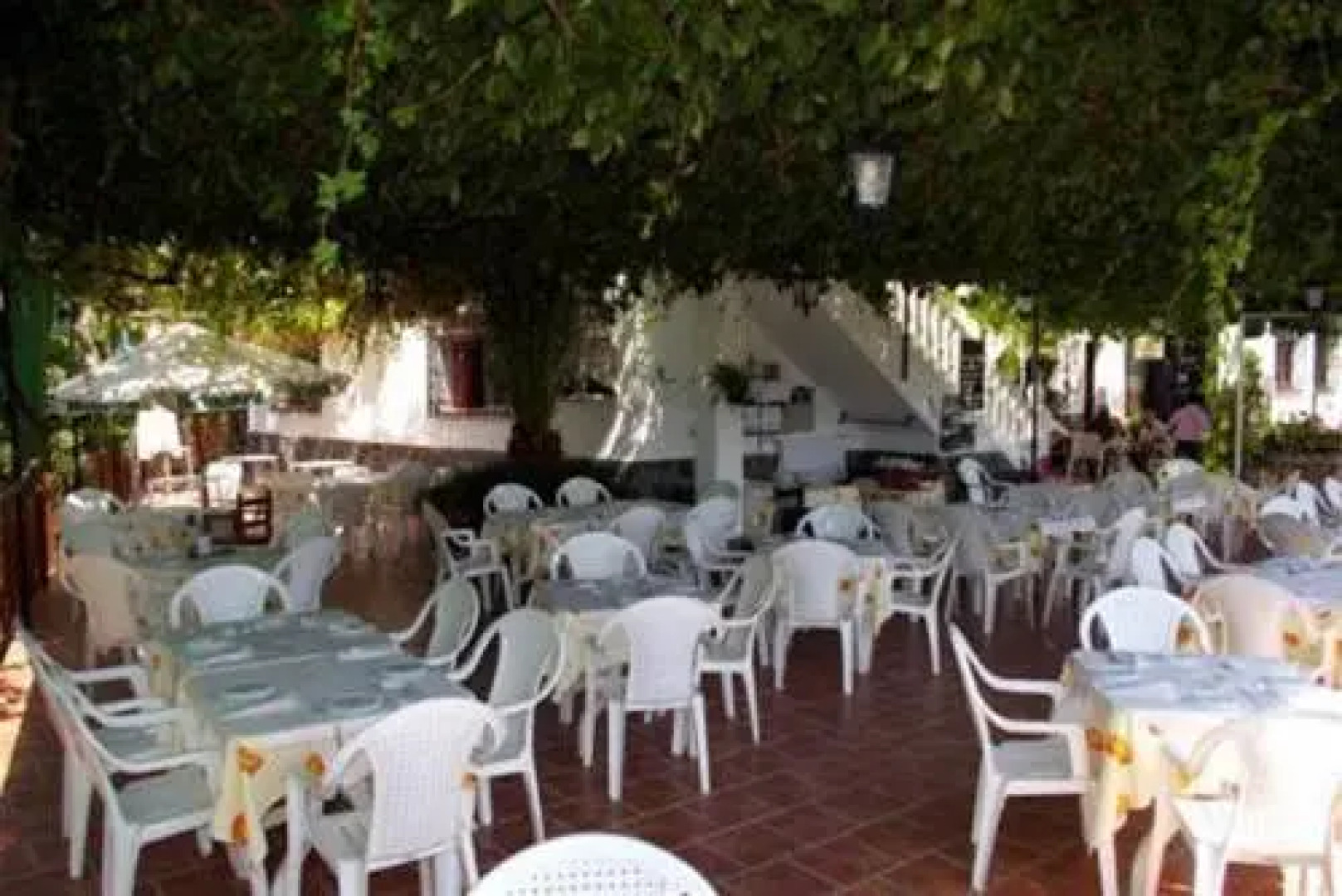 Hostal y Apartamento Rural Los Naranjos