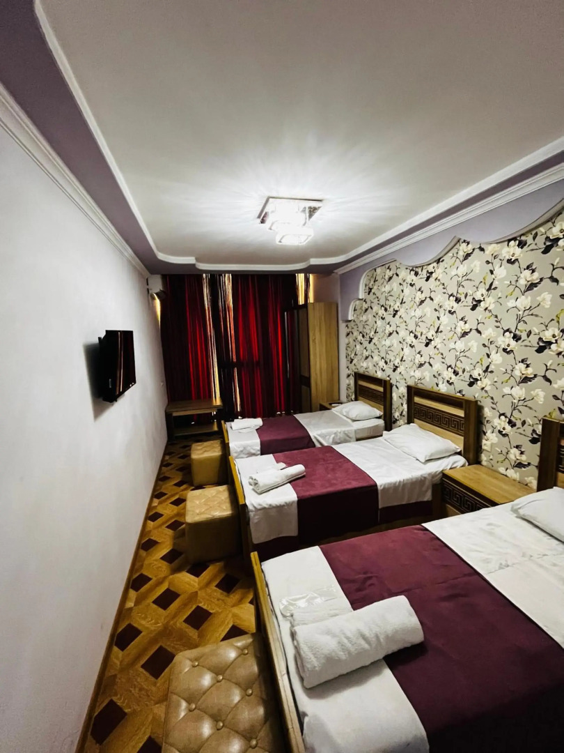 Отель Georgian Palace