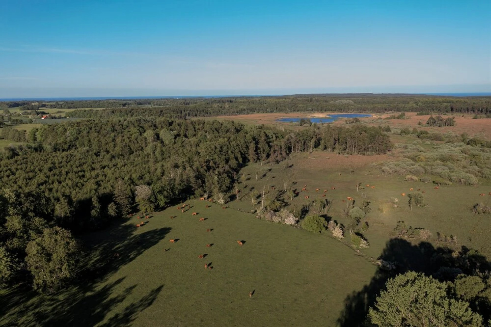 Under Canvas Bornholm