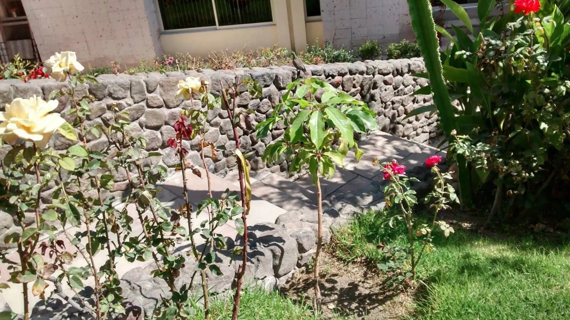 Hostal Los Angeles Amigos Inn