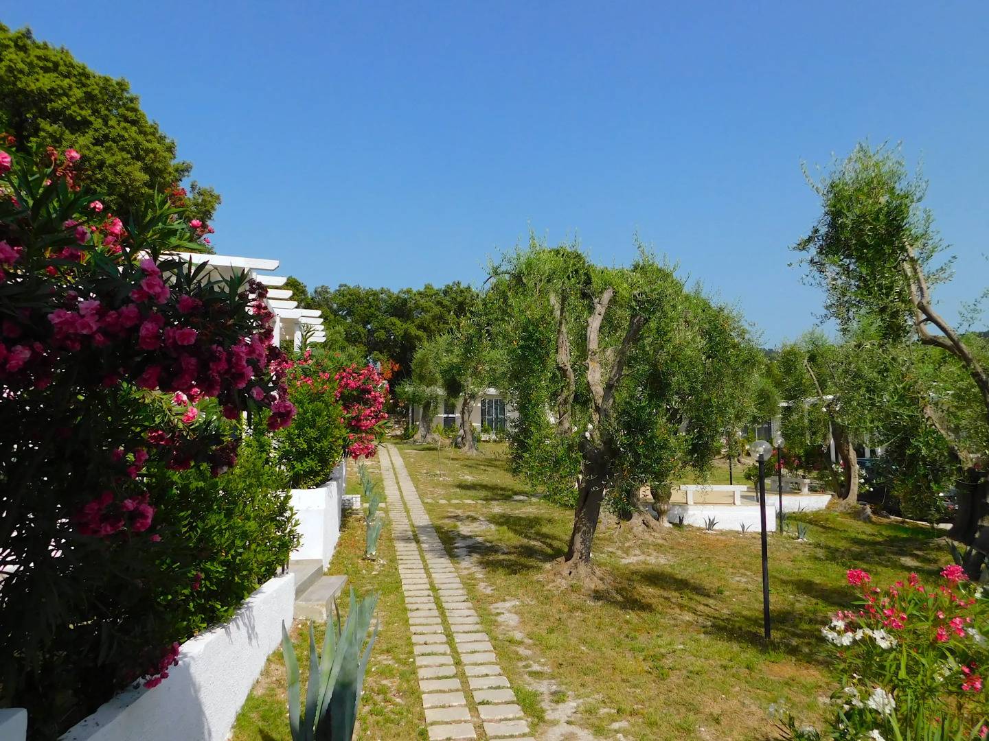 Frontemare Hotel Village & Spa