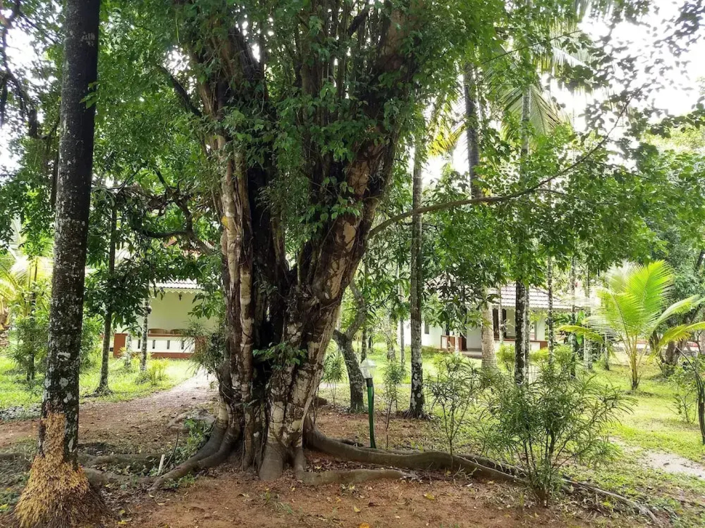 Palmgrove Lake Resort