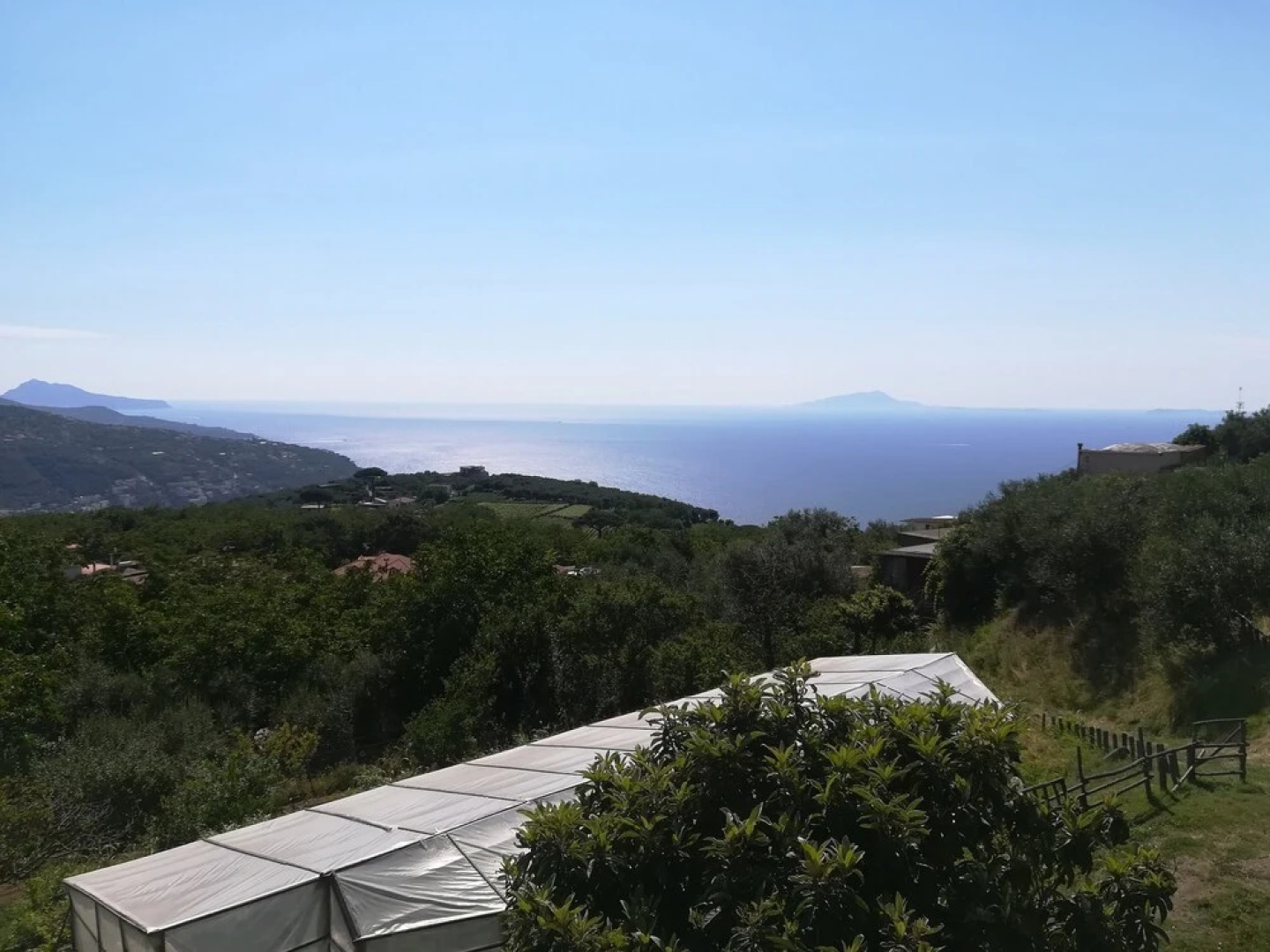Agriturismo Castanito