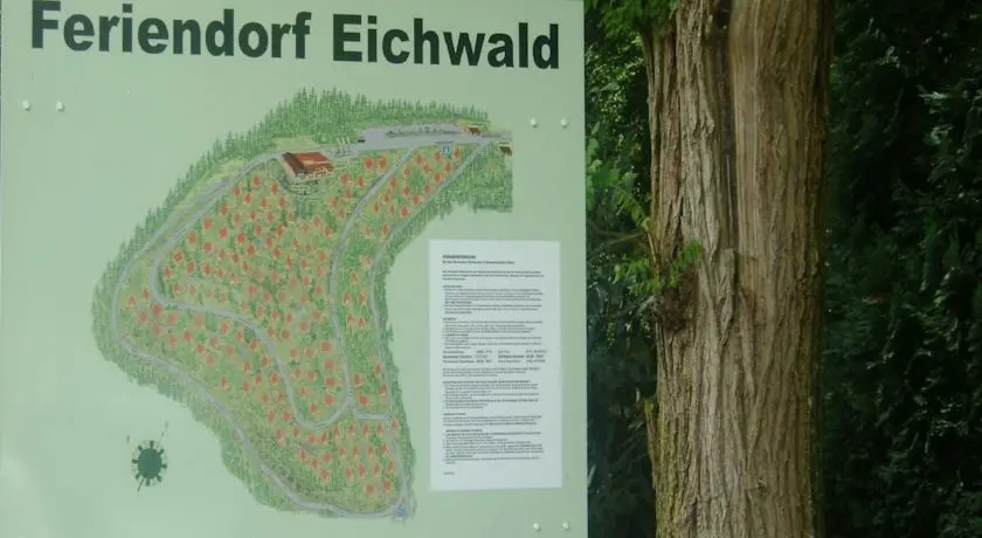 Ferienhaus im Eichwald